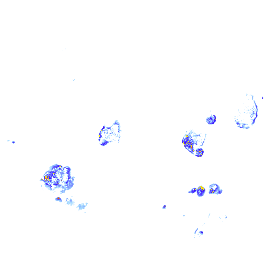 rainLayer