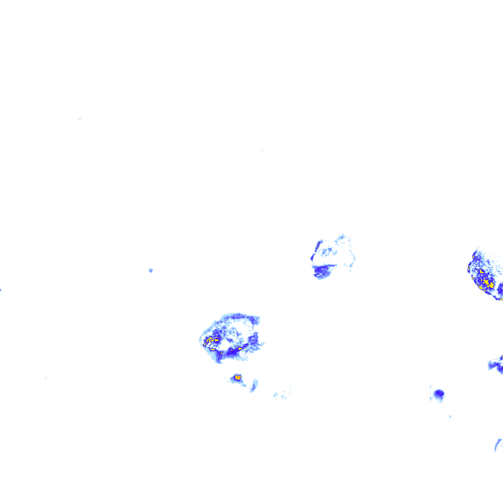 rainLayer