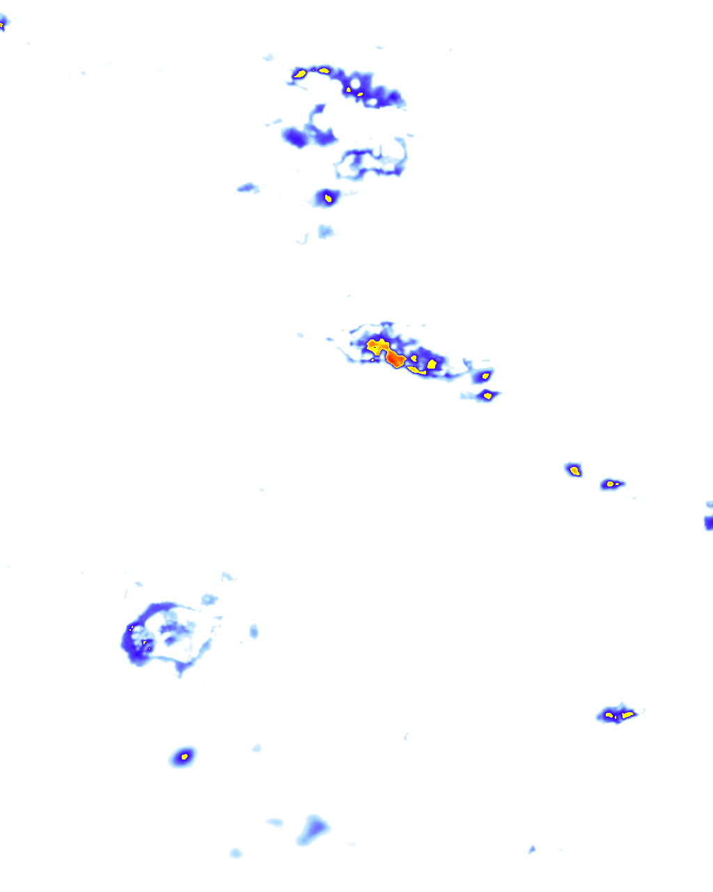 rainLayer
