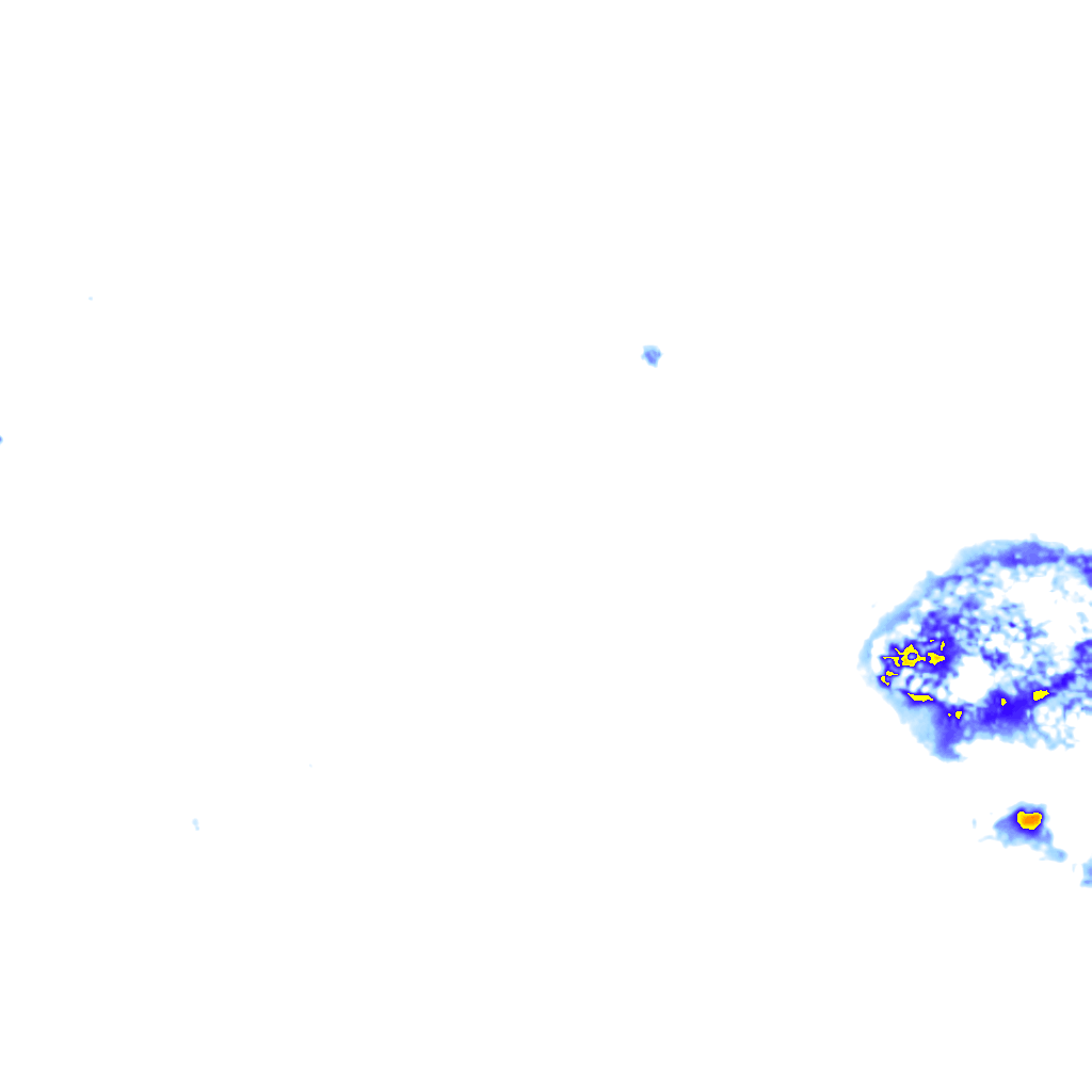 rainLayer