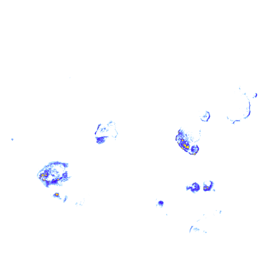 rainLayer