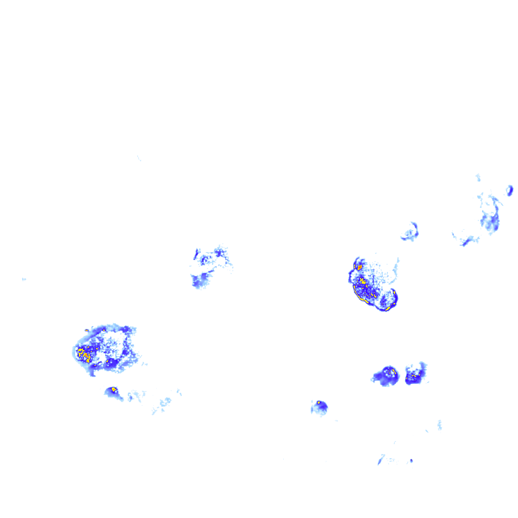 rainLayer