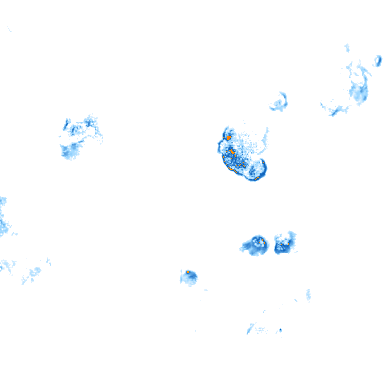rain layer