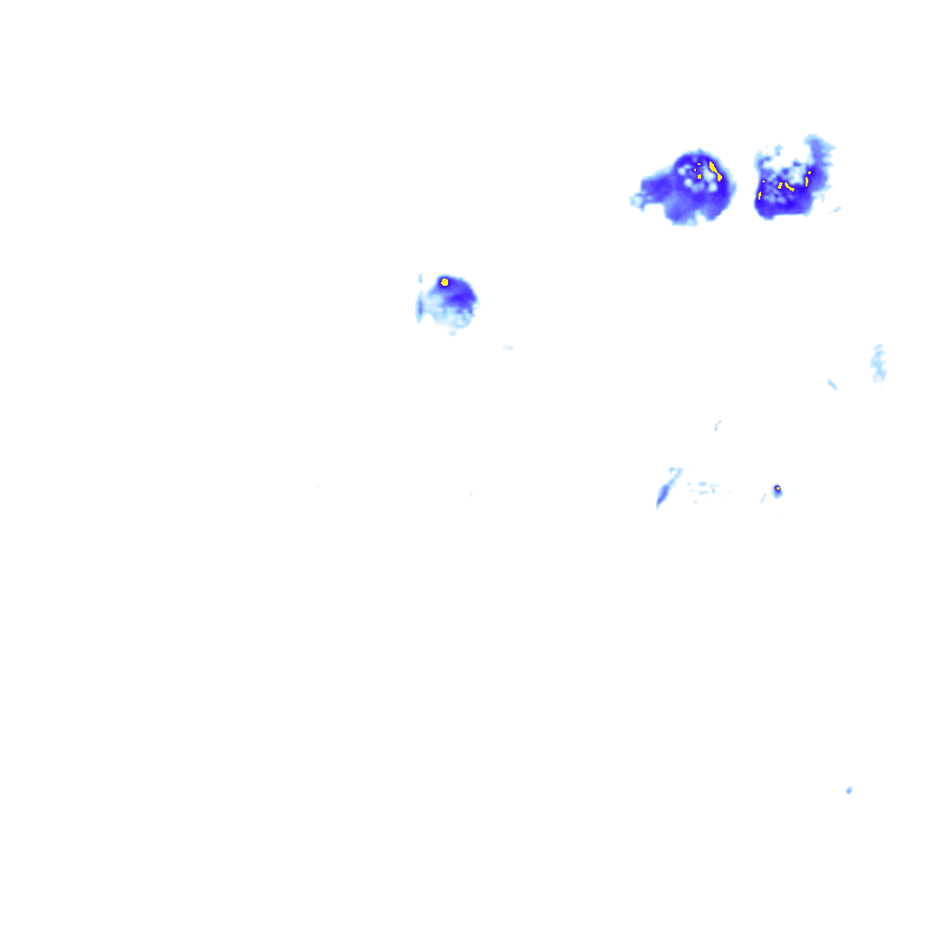 Image Layer