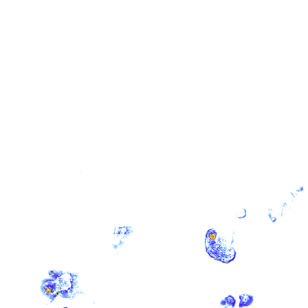 rainLayer
