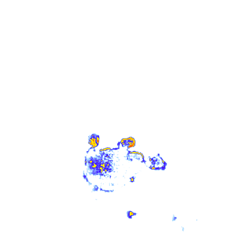 rainLayer