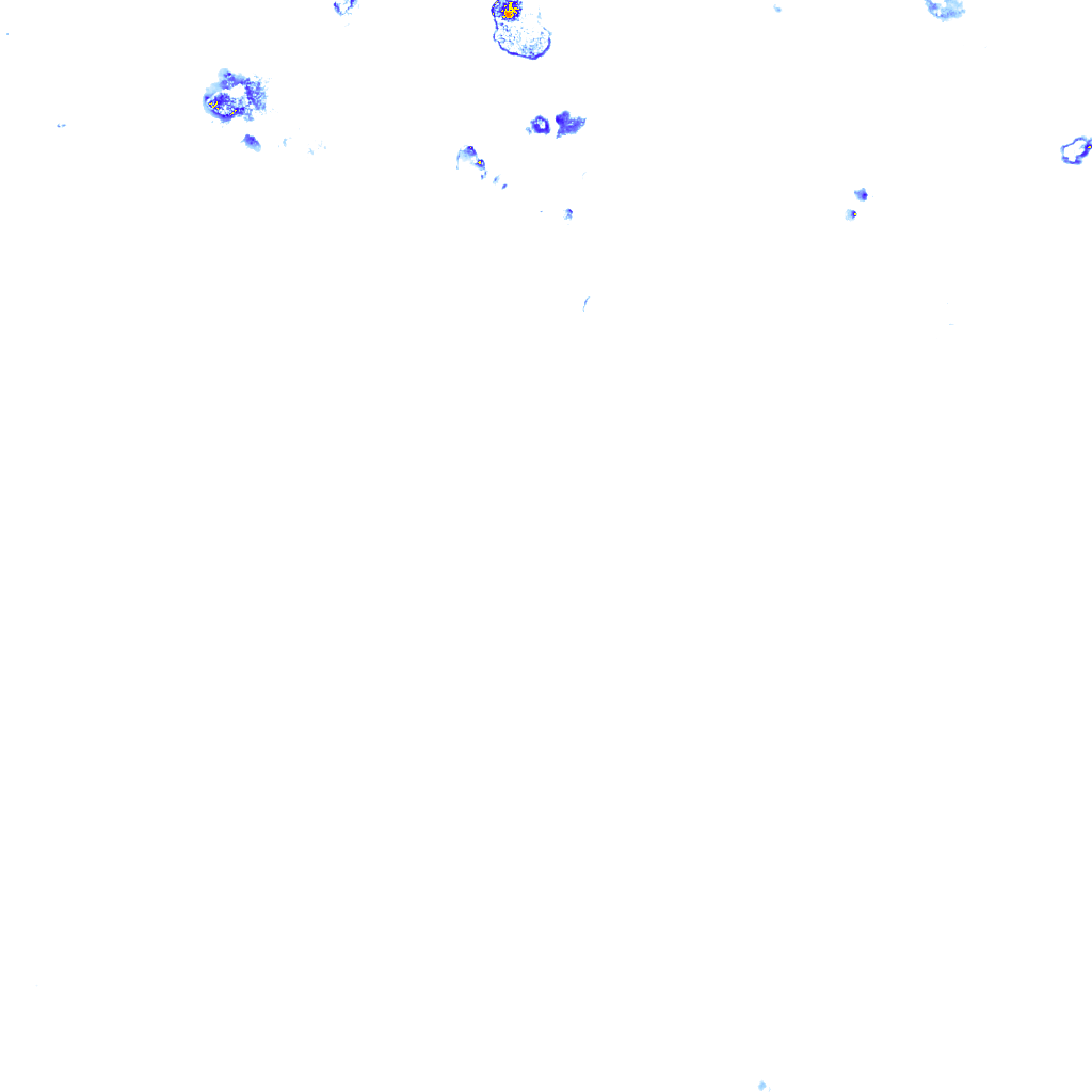 rainLayer
