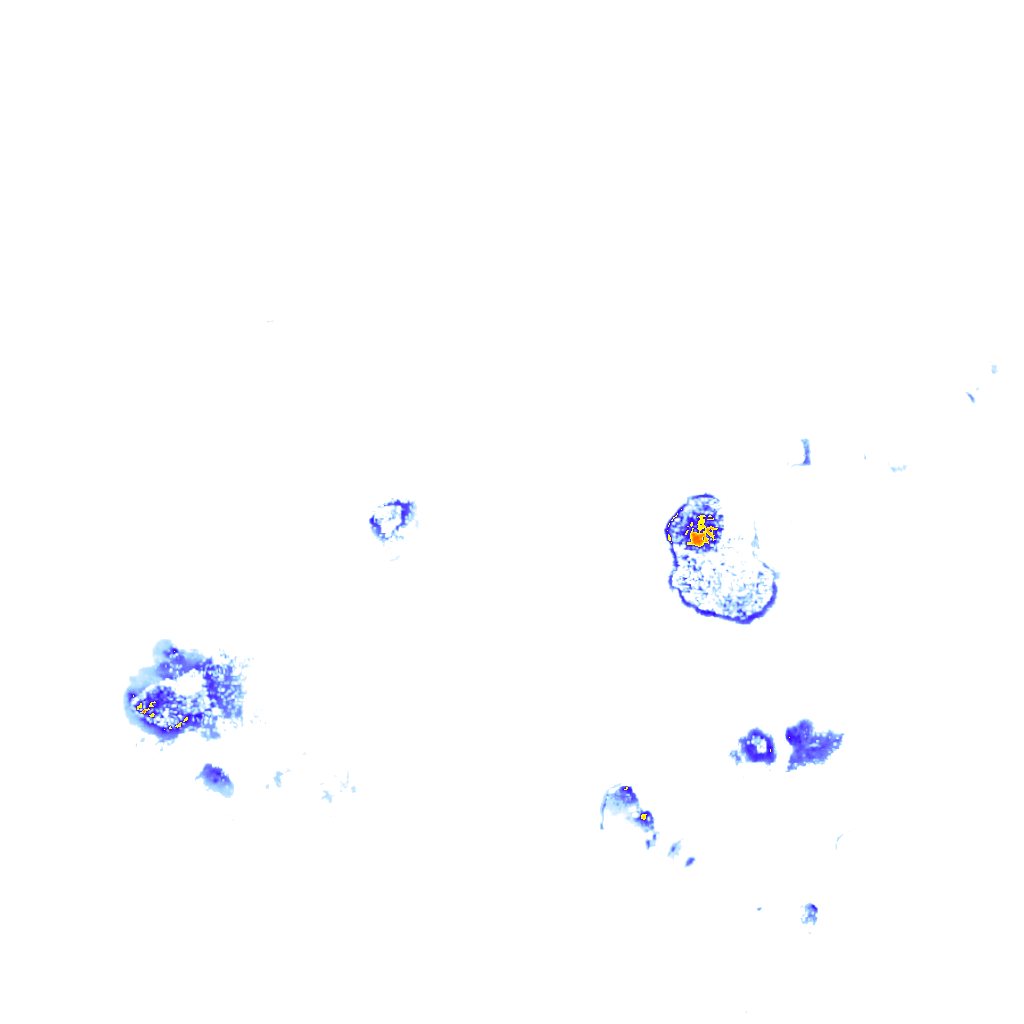 Image Layer