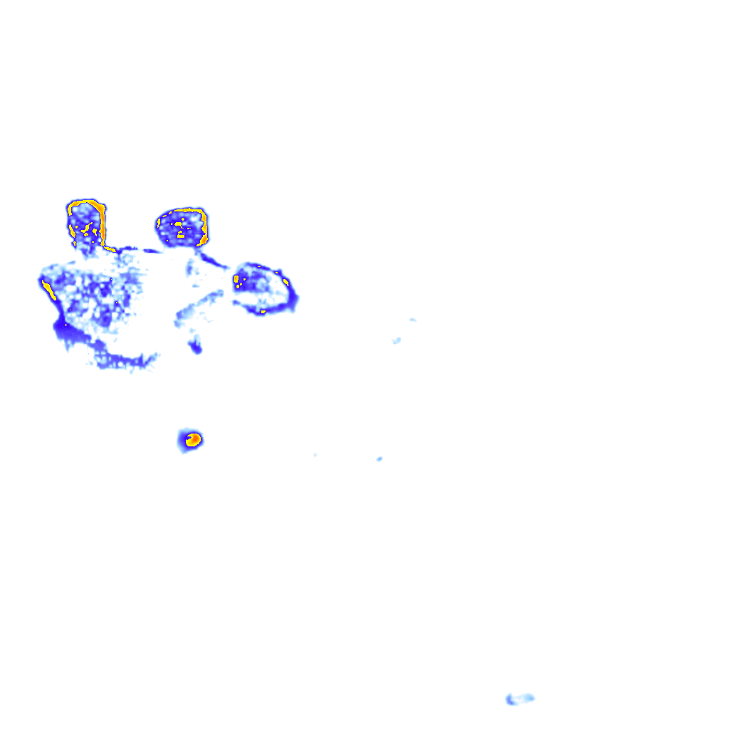 rainLayer
