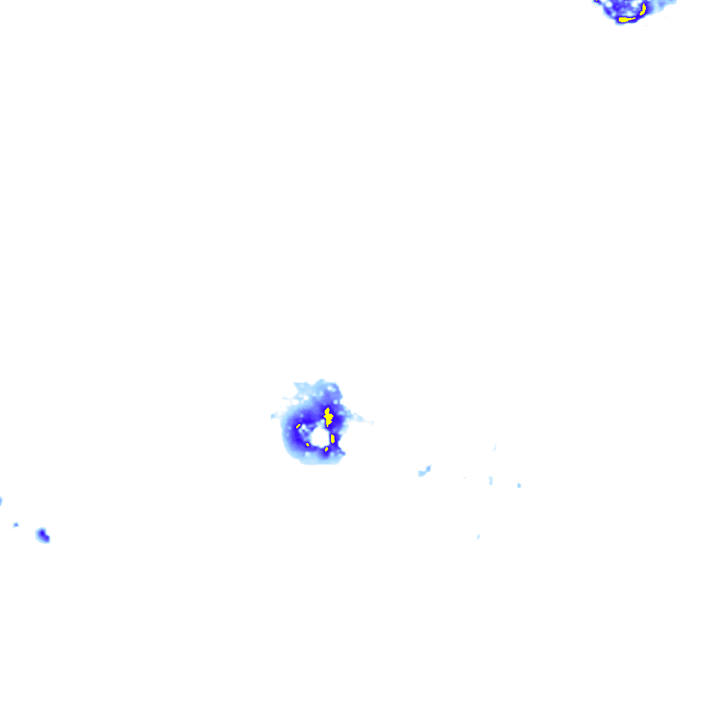 rainLayer