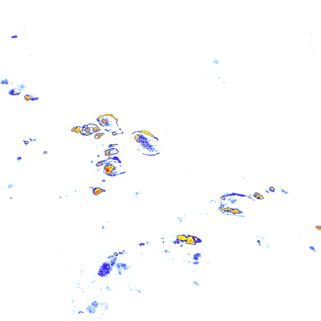 rainLayer