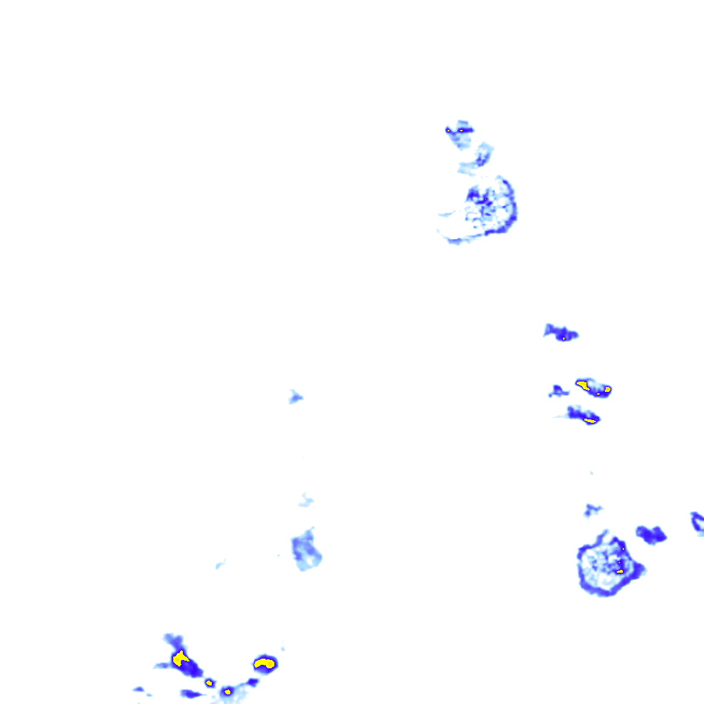 rainLayer