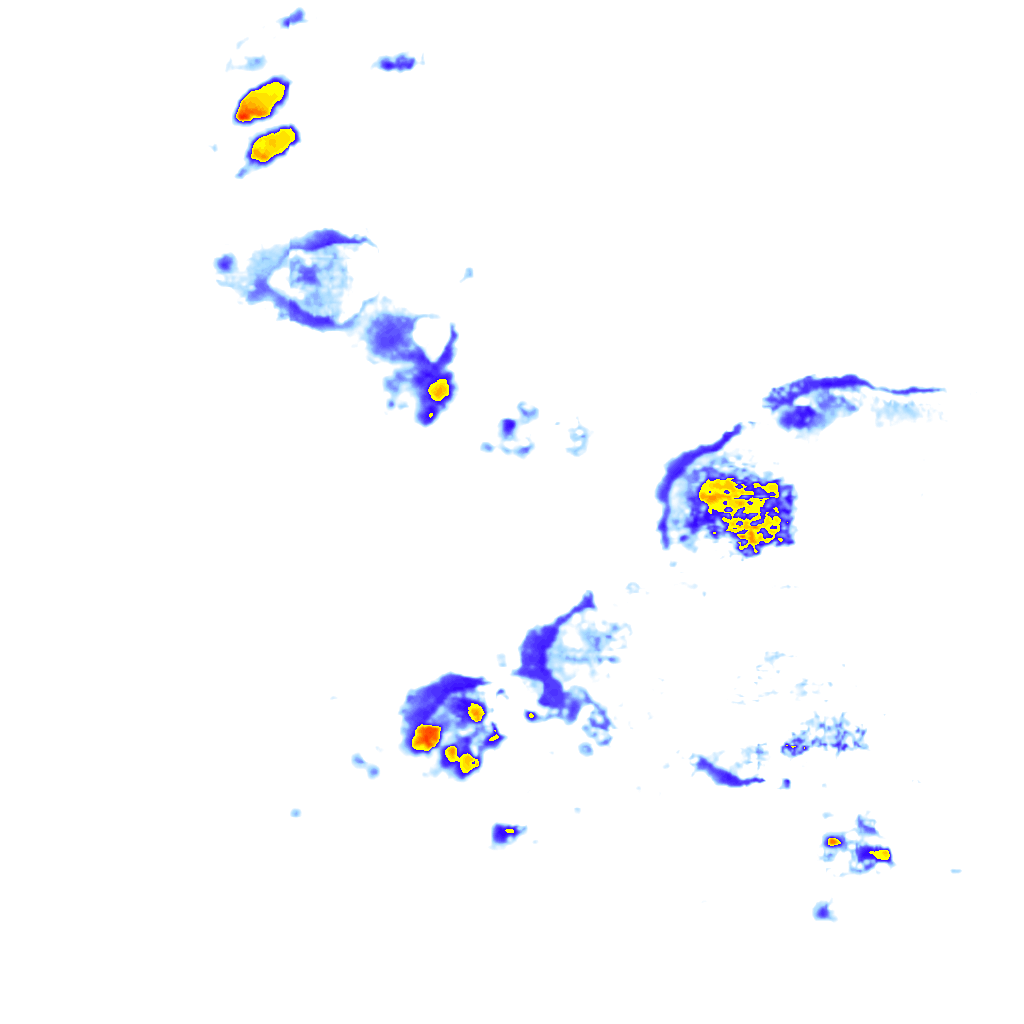 rainLayer