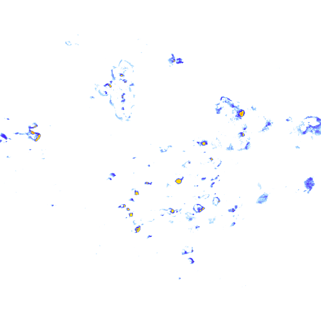 rainLayer