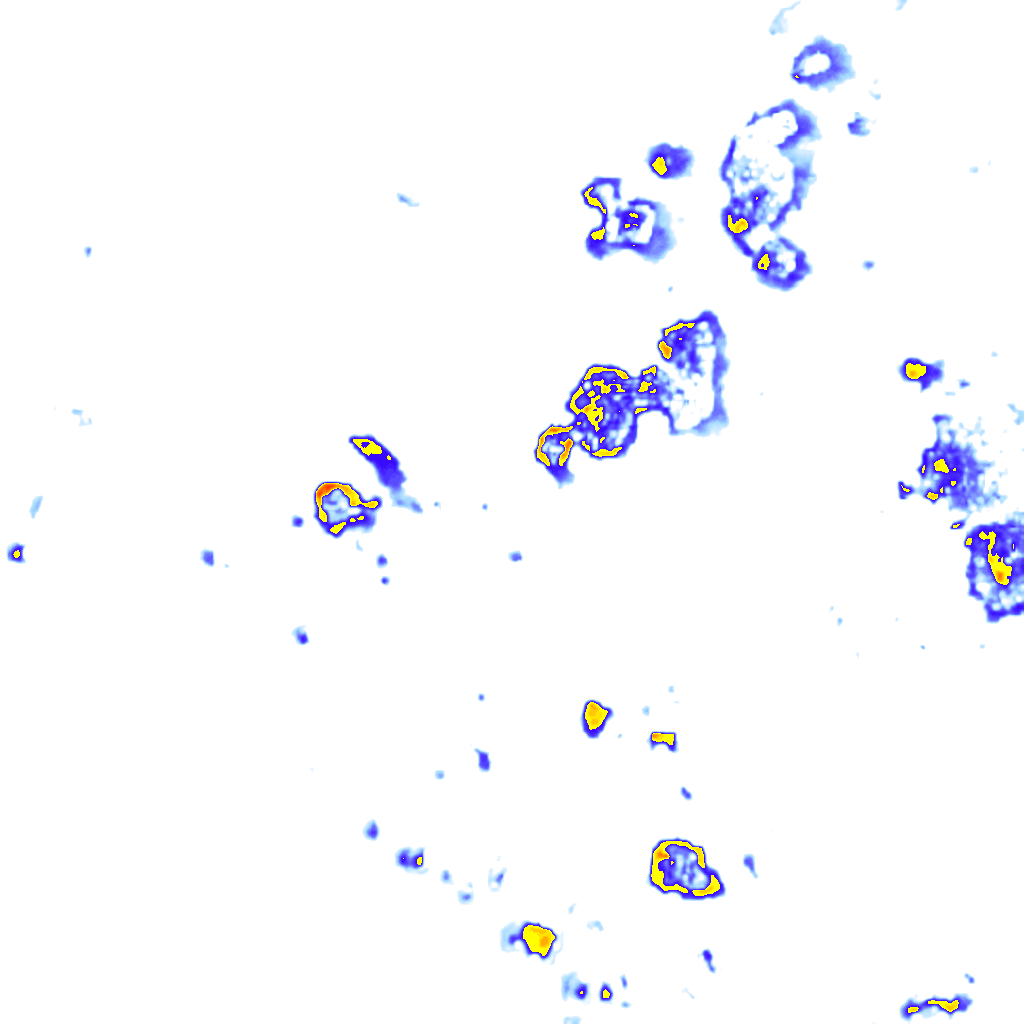 Image Layer