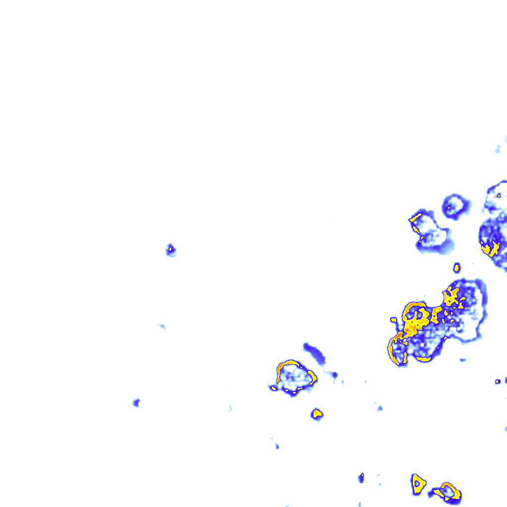 rainLayer