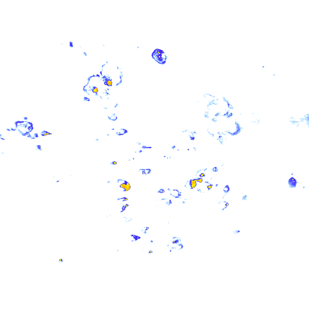 rainLayer