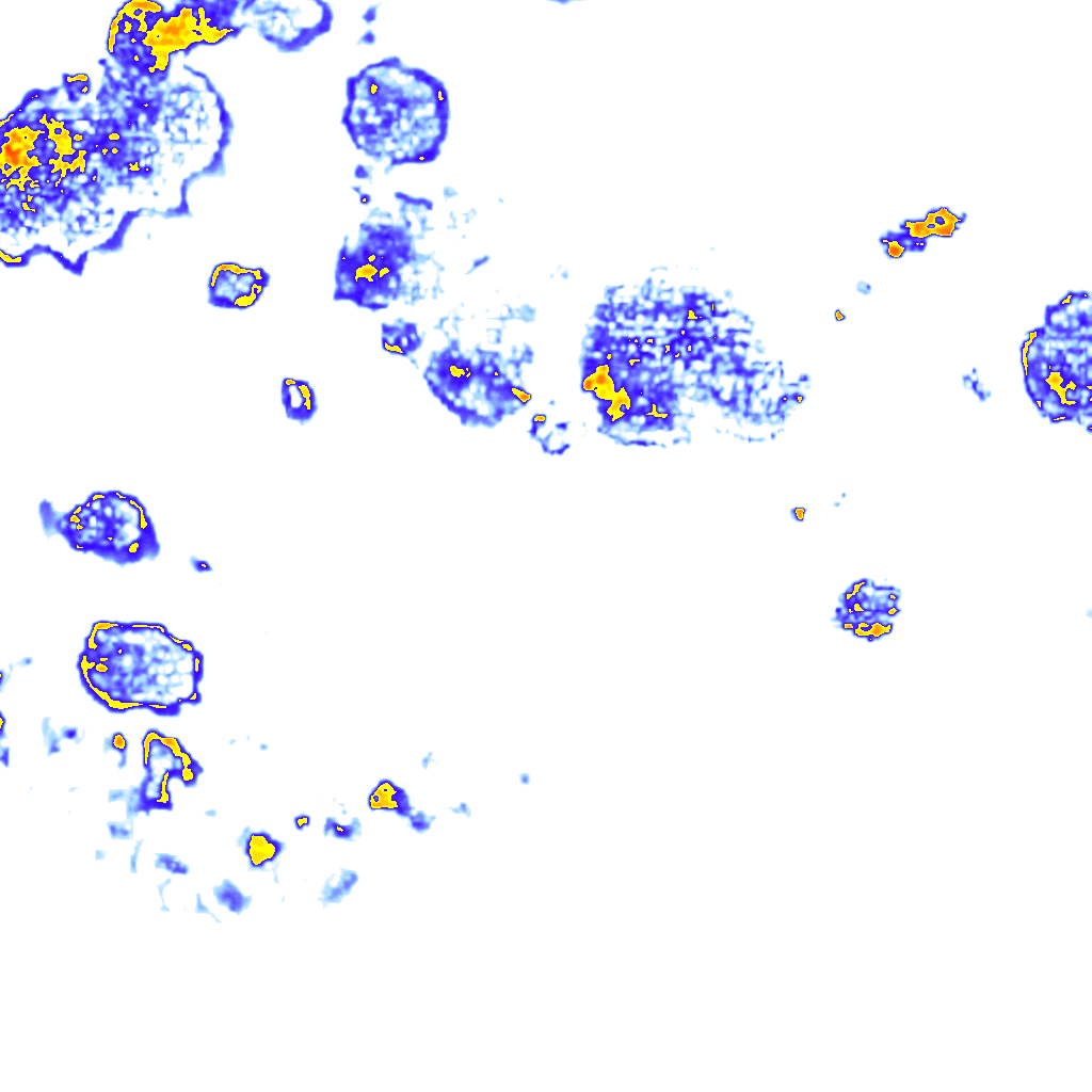 Image Layer