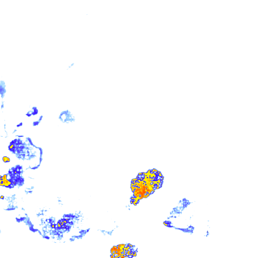 rainLayer