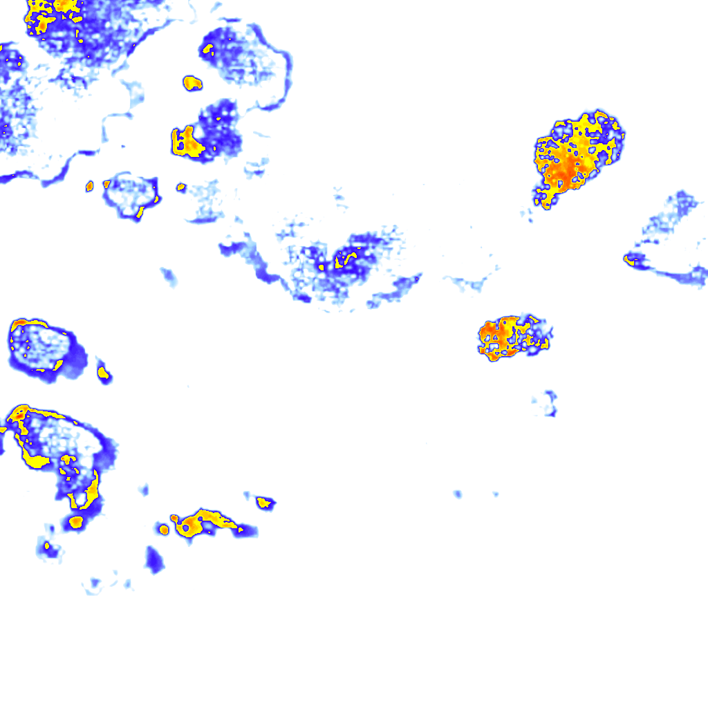 Image Layer