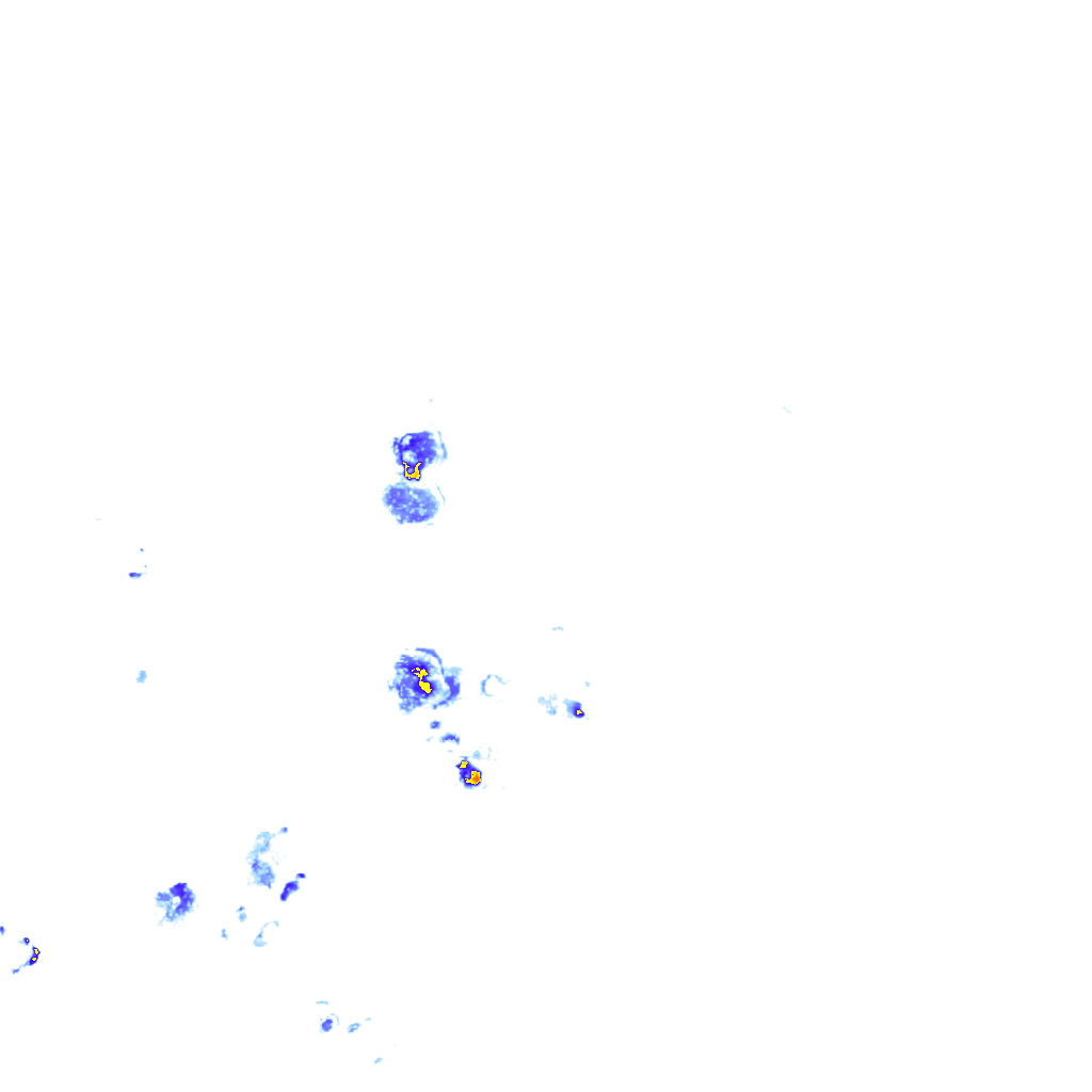 rainLayer