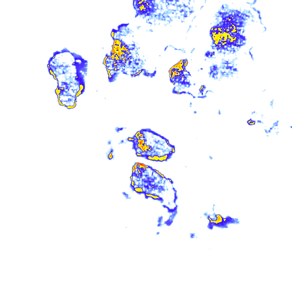 Image Layer