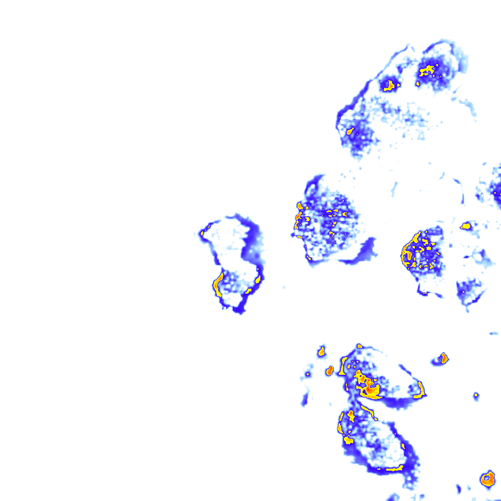 Image Layer