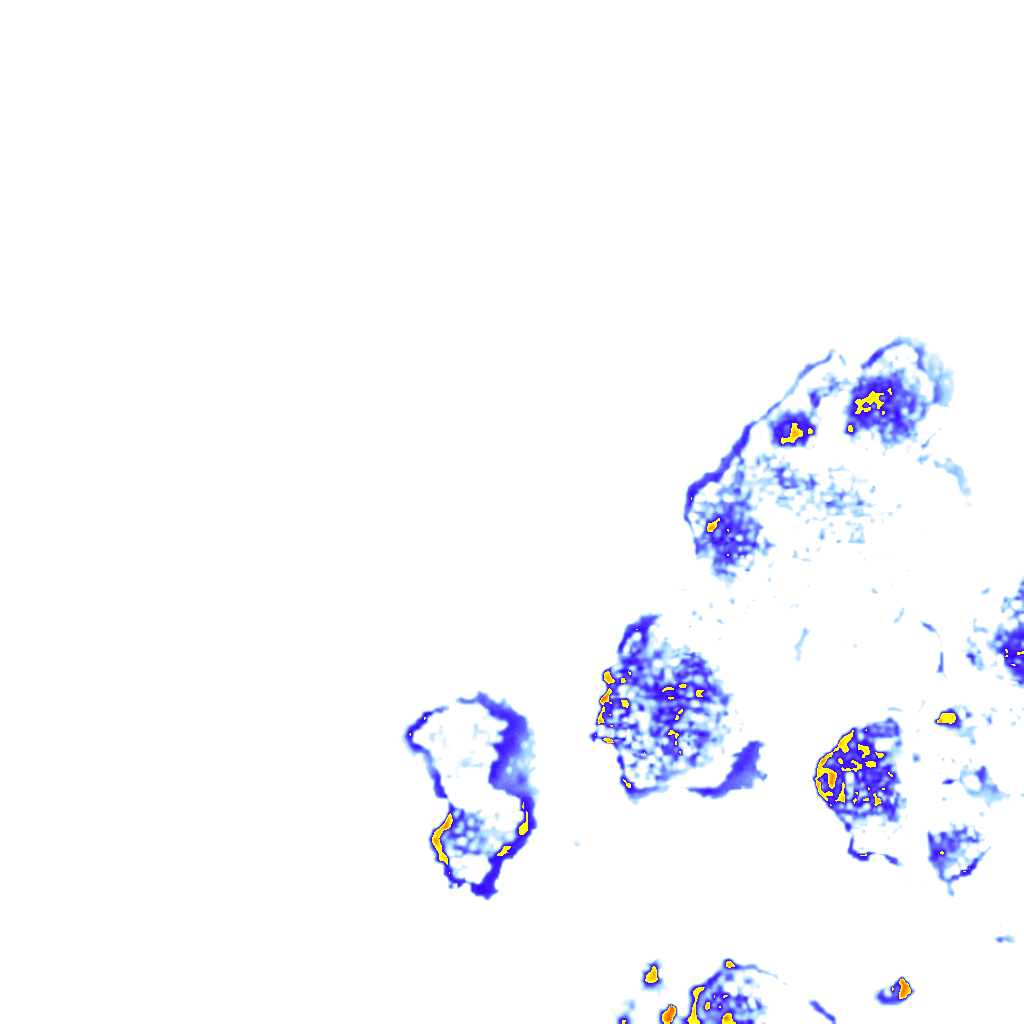 rainLayer