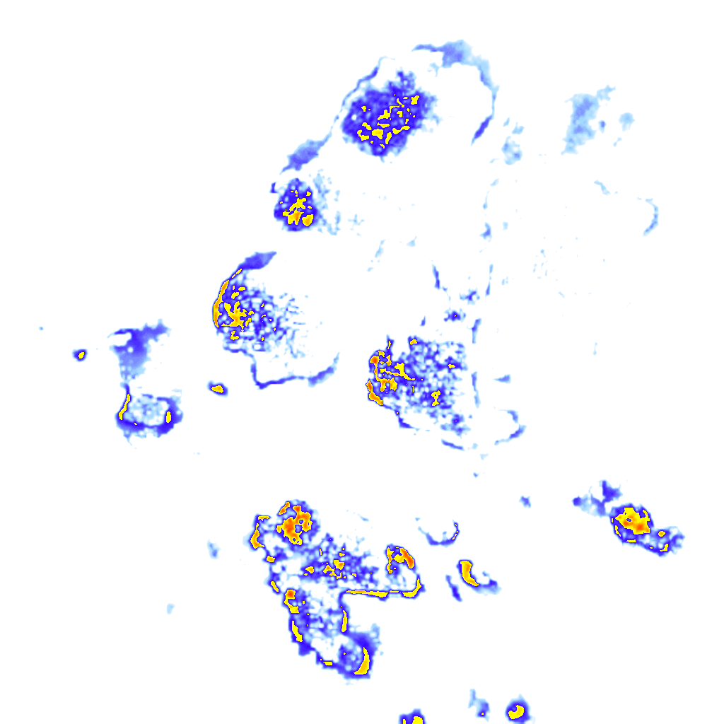Image Layer