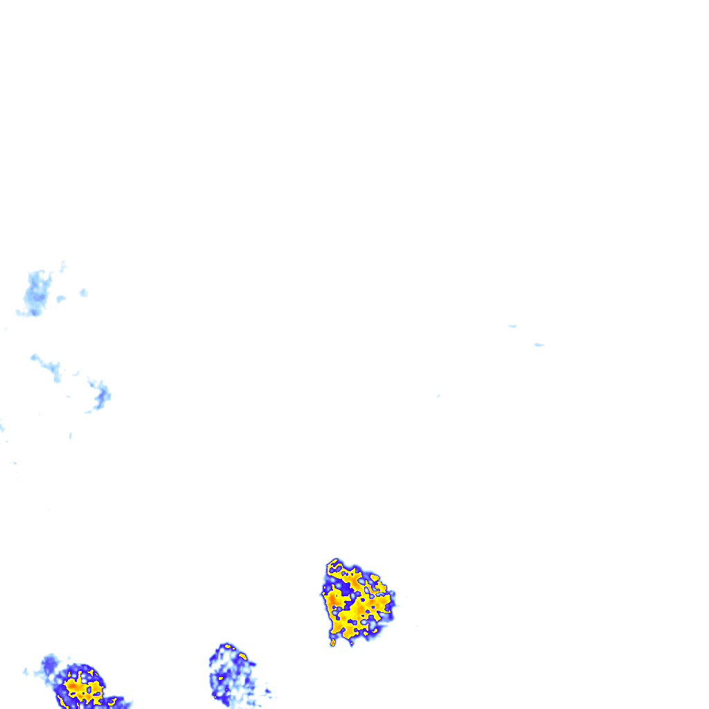 rainLayer