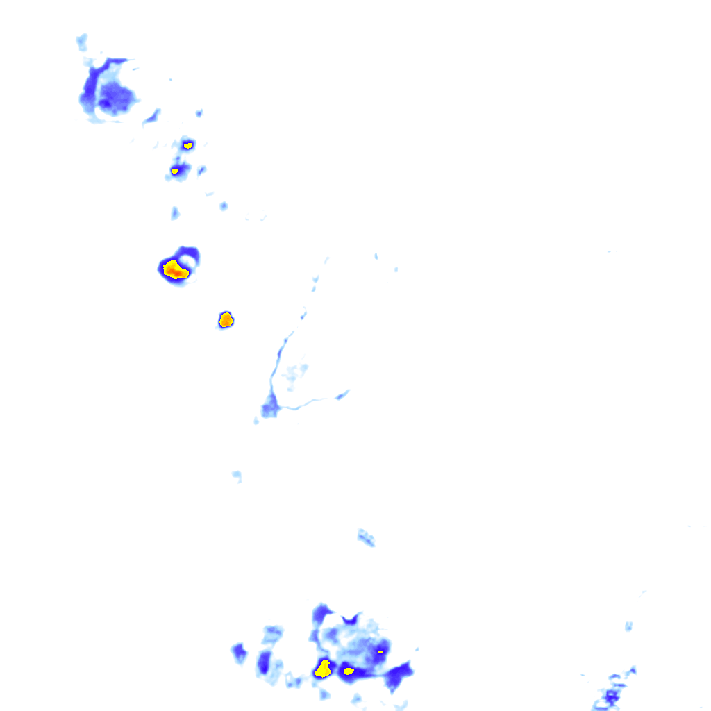 rainLayer