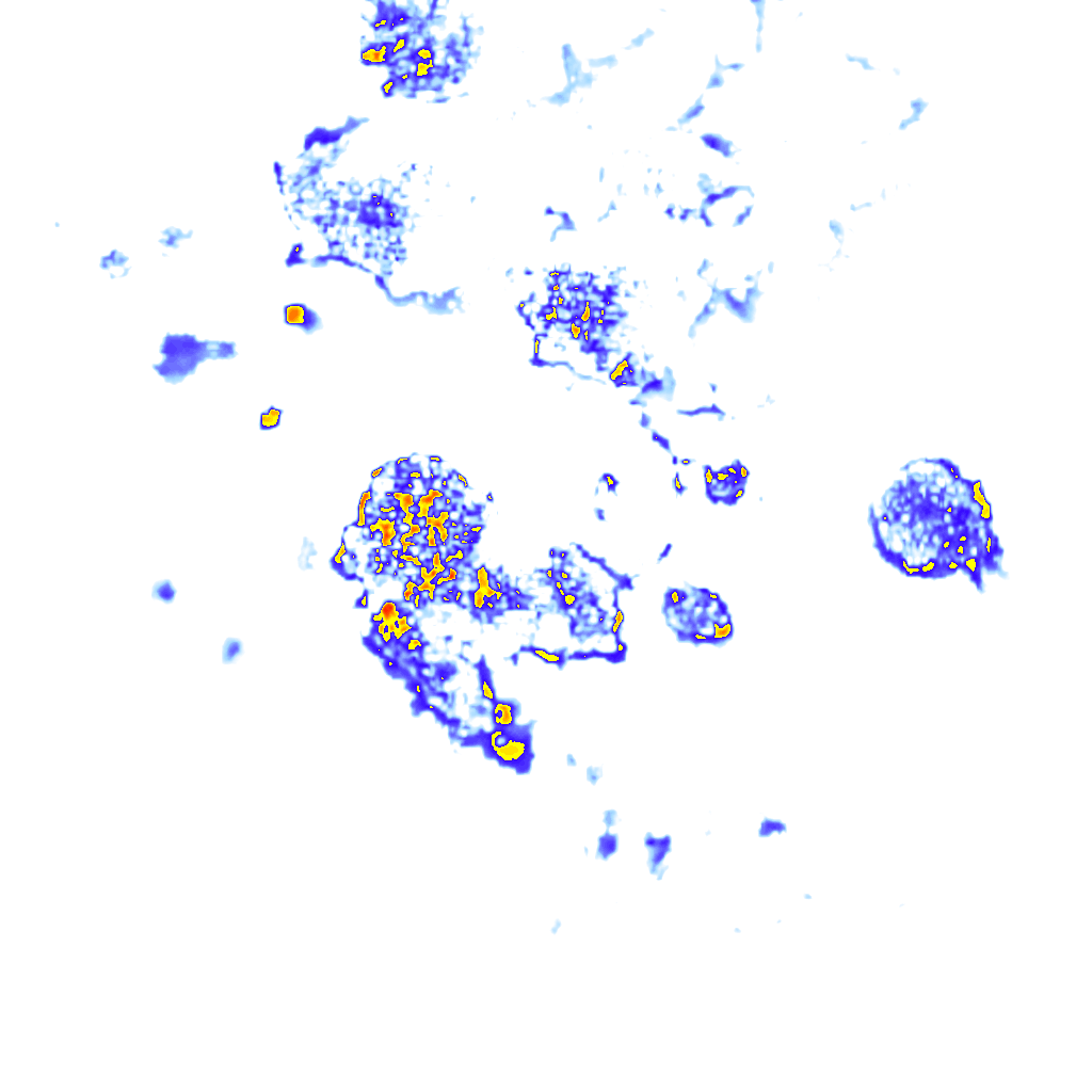 Image Layer