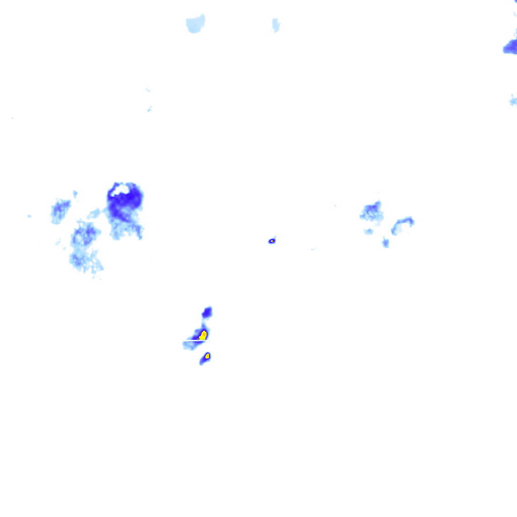 rainLayer