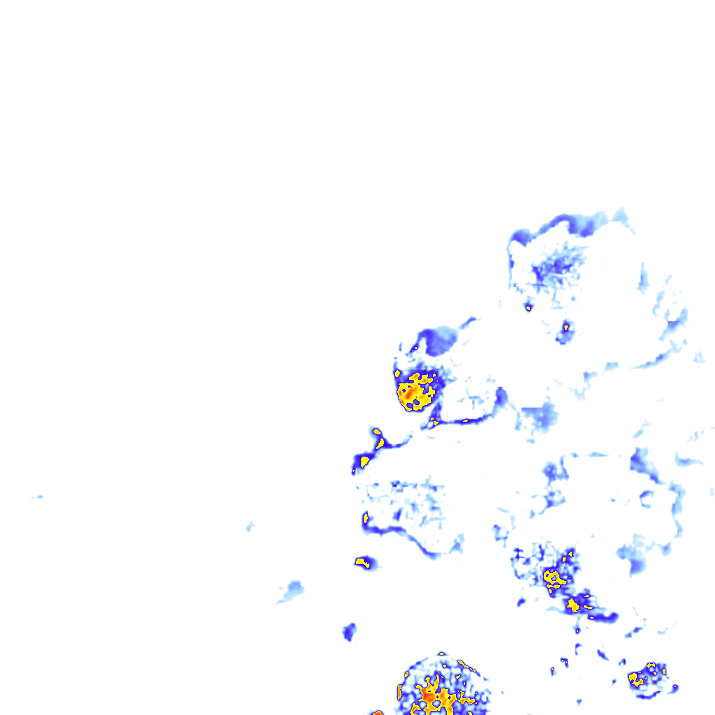 rainLayer