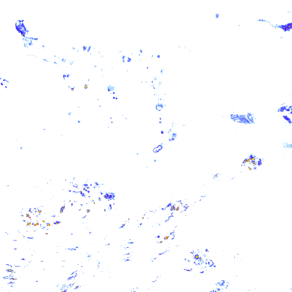 rainLayer