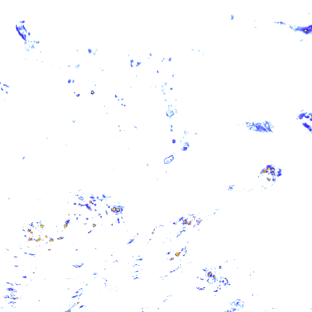 rainLayer