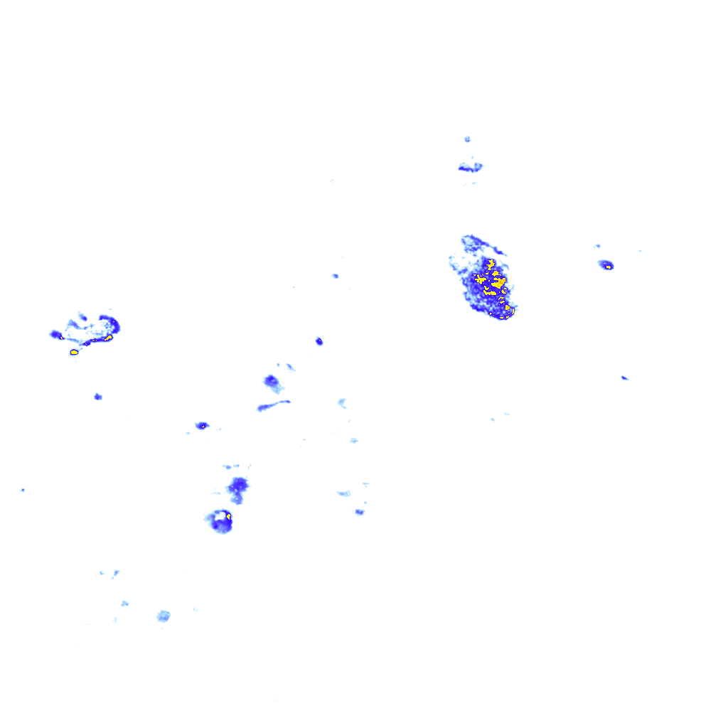 rainLayer