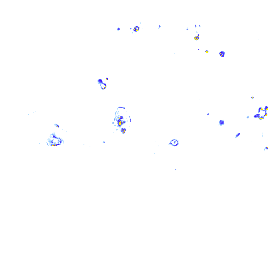 rainLayer