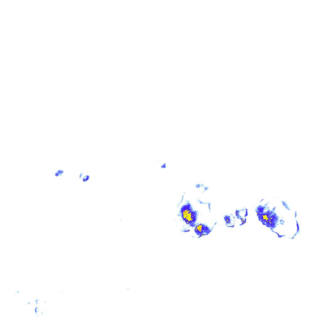 rainLayer