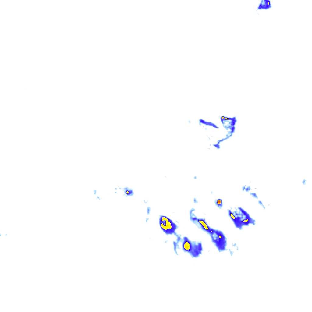 Image Layer