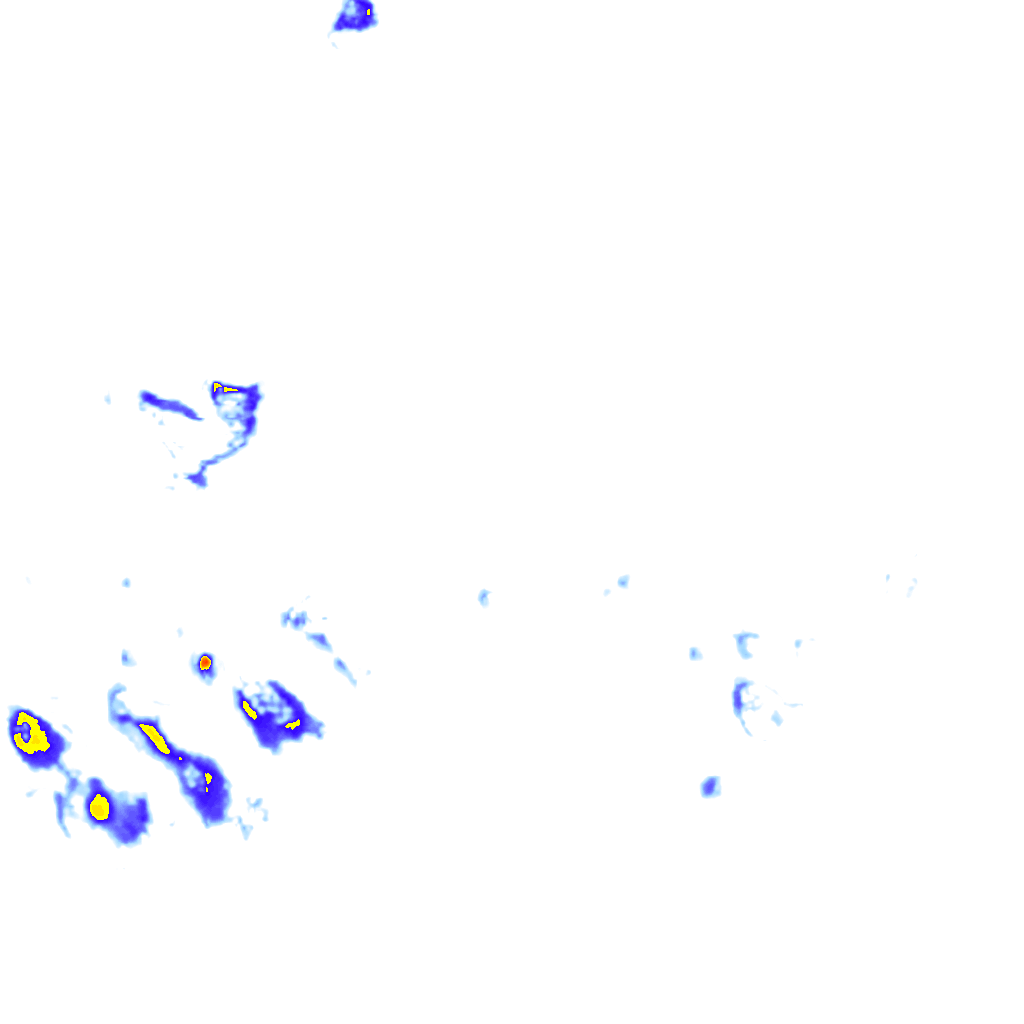 rainLayer
