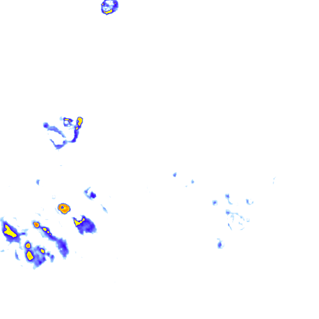 rainLayer