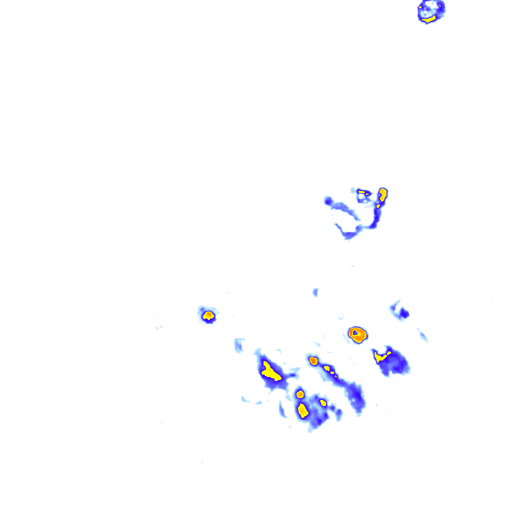 Image Layer