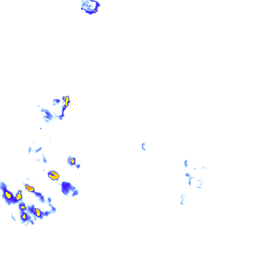 rainLayer