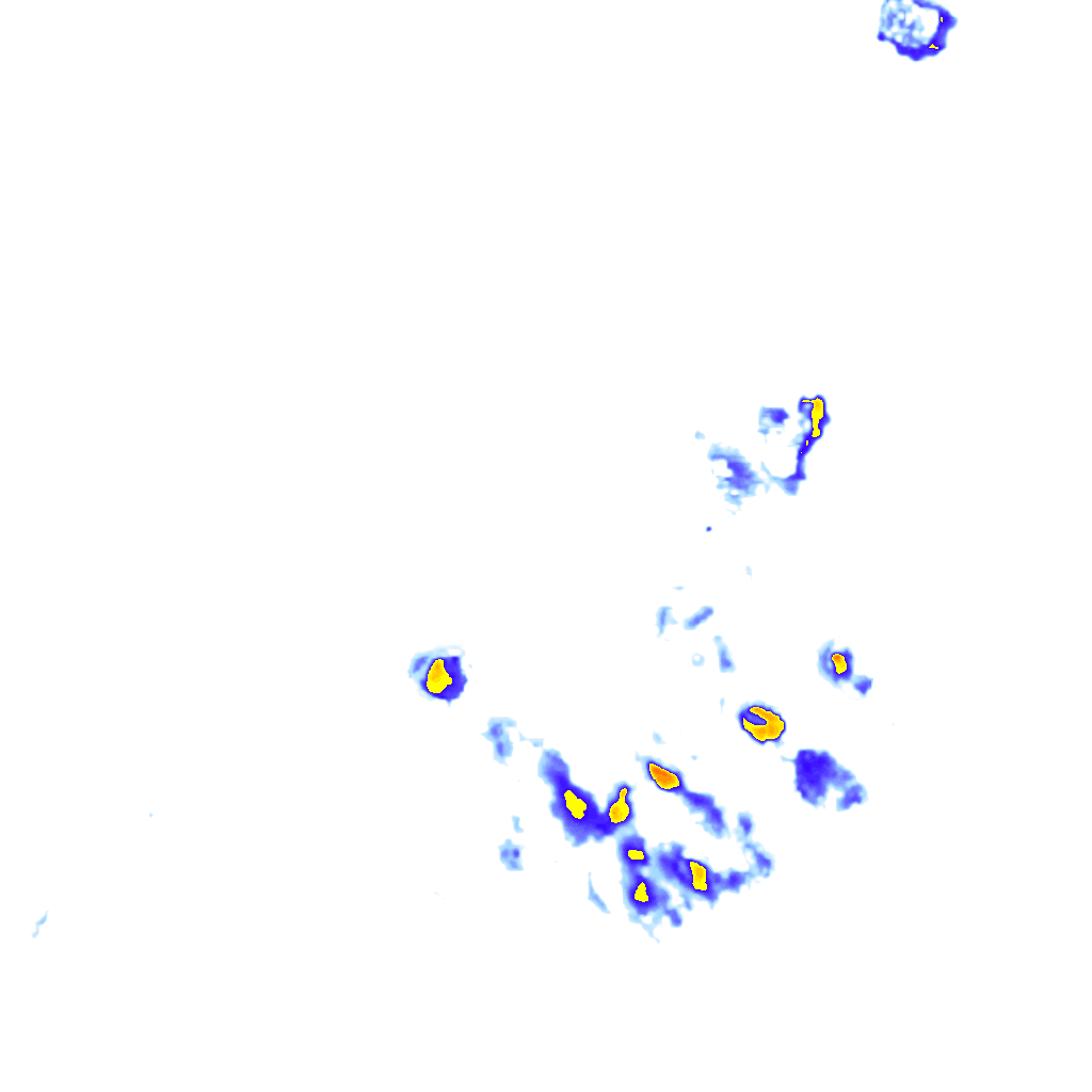 rainLayer