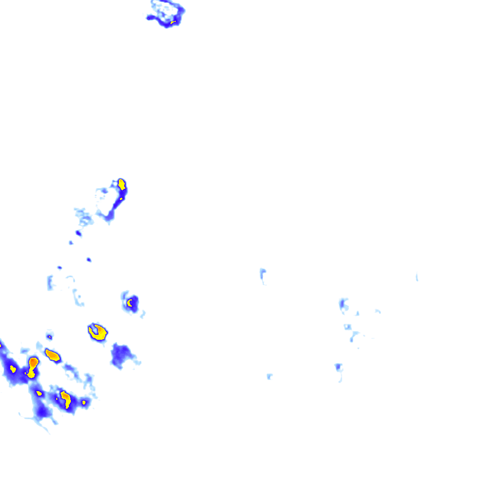 rainLayer
