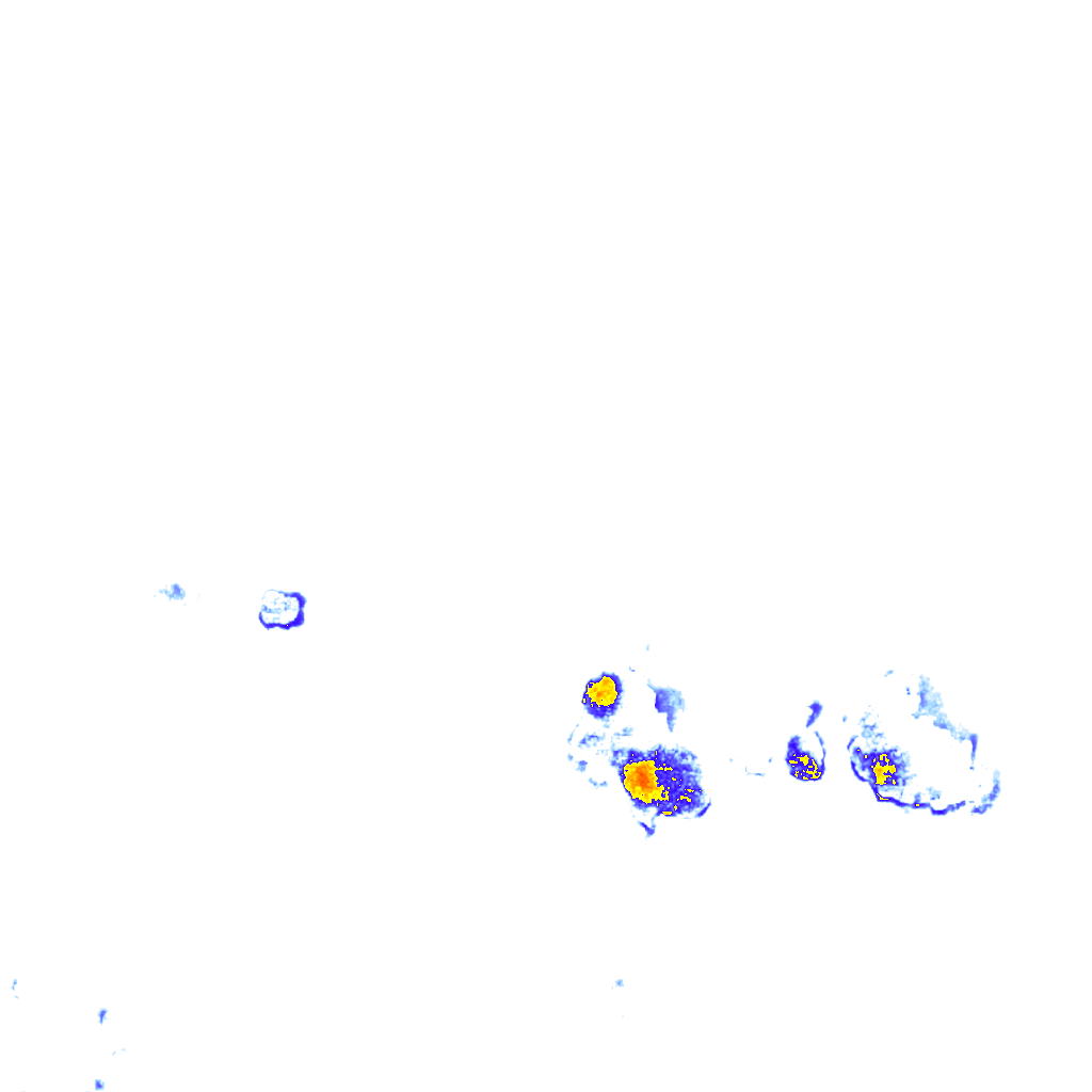 rainLayer