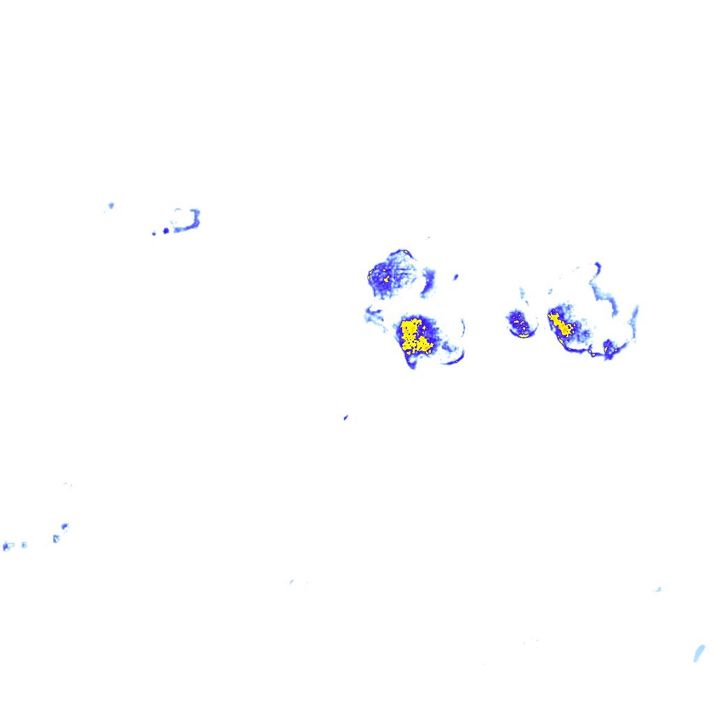 rainLayer