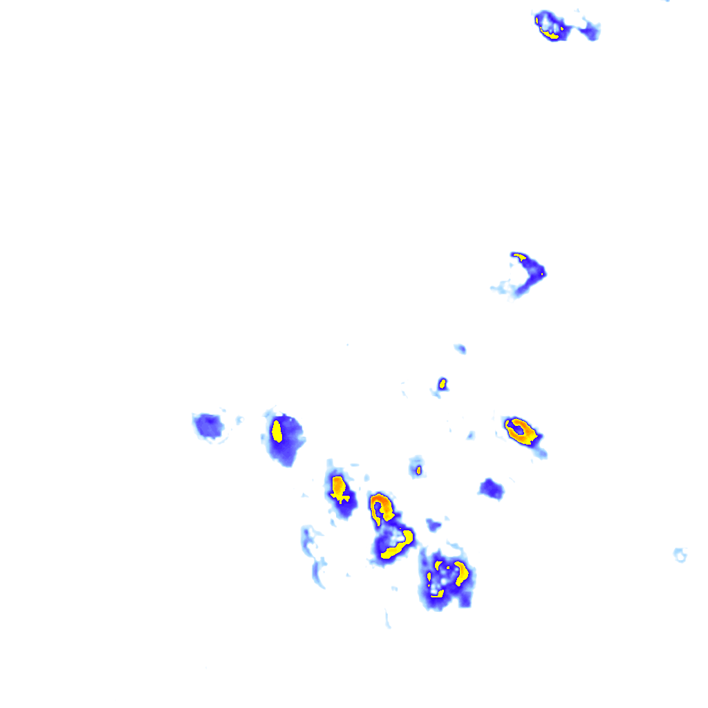 rainLayer
