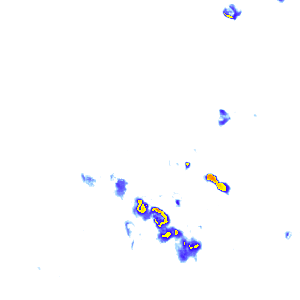 rainLayer